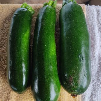 旬のお野菜セット（5～7品）クール便 旬のお野菜セット5~7品セット 野菜/野菜セット・詰め合わせ通販
