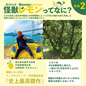 怪獣レモン 6玉 果物/香酸柑橘(ライム・レモン等)通販