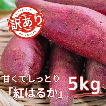お得な訳あり！さつまいも5kg 熟成紅はるか（土付き） ｜ 野菜