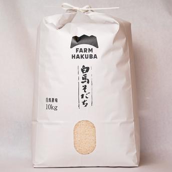 新米！予約販売 コシヒカリ 10kg 令和8年産特別栽培米 特別優秀賞受賞