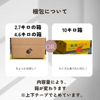 超完熟宮川早生】屋根かけ越冬みかん 3キロSサイズ家庭用 有田みかん