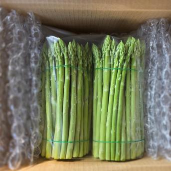 スナックアスパラガス1.0kg ｜ 野菜/アスパラガス 産直アウル 農家