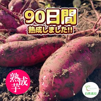〇 90日間熟成しました 〇 熟成芋 農薬不使用 紅はるか（5kg）【期間