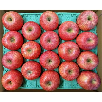 期間限定】りんご サンふじ 大玉贈答向け 10kg | 果物/りんご 産直