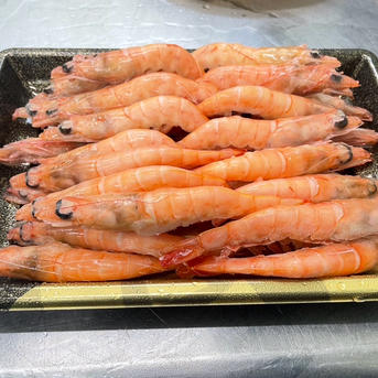 一度で三度美味しい】プリプリ身質大トロの甘さ海老ミソ満タン『幻の生