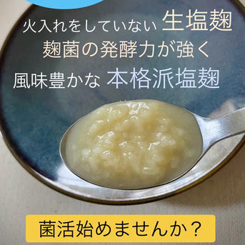 新発売☆ないとうさん家の野菜にも塩麹 野菜にも塩麹　3個 調味料/その他調味料通販