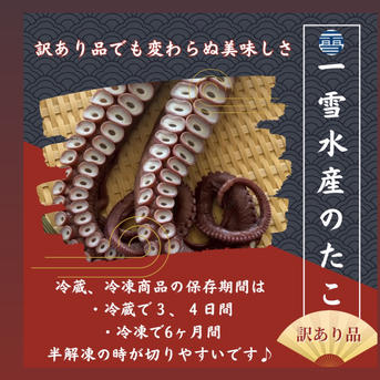 訳あり品】北海道白老産 ぽんたこ1本！ | 魚介類/タコ 産直アウル 農家