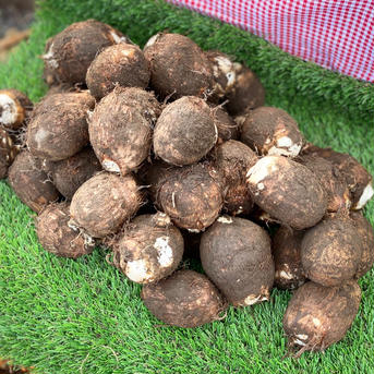 【竹粉育ち】農家のお嫁さんの農薬・化学肥料不使用栽培　里いも5kg（小ぶりサイズ＆大ぶりサイズ組み合わせ） 里芋大ぶりサイズ2.5kg＋小ぶりサイズ2.5kg 野菜/里いも通販