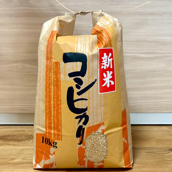 コシヒカリ １０キロ　玄米　 兵庫県丹波産 6周年限定】【玄米】新米 令和7年丹波篠山産コシヒカリ 10kg | 米