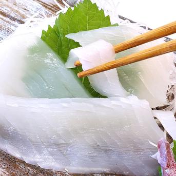 刺身用　白イカむき身（冷凍)約350g（3-10枚程度入）サイズ不揃い　個包装　（ケンサキ） 刺身用　白イカむき身（冷凍)約350g（3-10枚程度入）サイズ不揃い　個包装　 魚介類/イカ通販