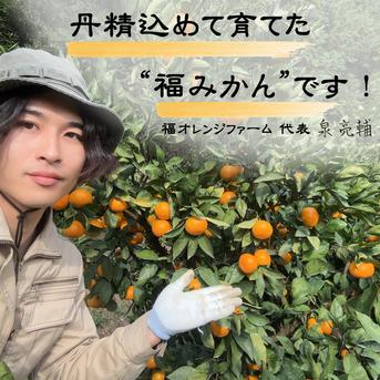 むいたら最後、止まらない】甘味×酸味が絶妙！ 福みかん《ご家庭用 5kg