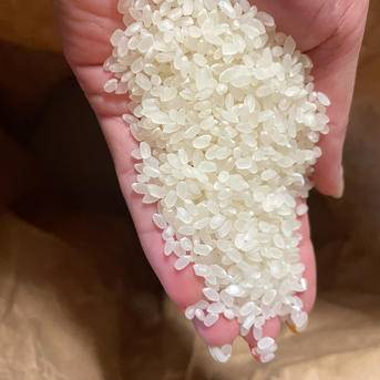 にこまる 令和7年 新米🌾 和歌山県産 | 米・穀物/米/精米 産直アウル