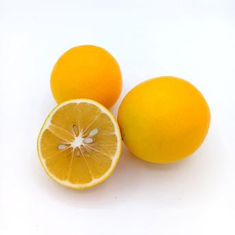 酸味少なくマイルド『マイヤーレモン』【9.3kg】 | 果物/香酸柑橘