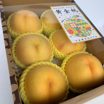 甘さとろける‼︎山形県産黄金桃【2キロ大玉】 2キロ 果物/もも通販