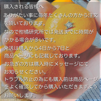 訳ありカラマンダリン　5キロ  サイズ混合　有田産 カラマンダリン約39個 果物/その他柑橘類通販