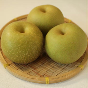長野県産　梨　幸水　5kg  贈答品 5kg 果物/梨通販