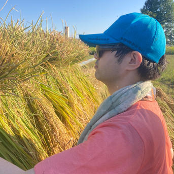天日乾燥　はさがけ米　令和6年産米　はえぬき　2kg 無洗米2kg 米・穀物/米/精米通販