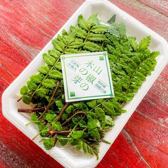 当日採取でお届け】 天然物 山椒の木の芽 若芽 40g 山菜 宮城県西根の