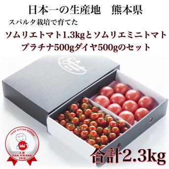【極み】⑧ソムリエトマト　1.3kgとソムリエミニトマト　プラチナ500gダイヤ500gのセット（60玉から90玉） 2.3kg（トマト1.3kgミニトマト各500g） 野菜/野菜セット・詰め合わせ通販