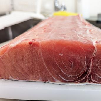 バショウカジキ 約4kg 魚介類/その他魚介通販