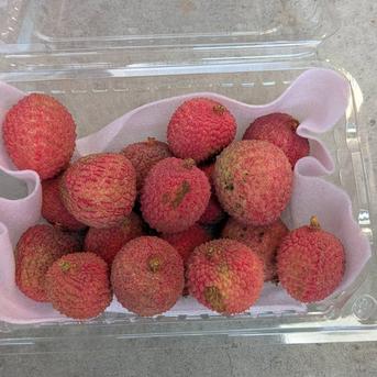 訳あり　生ライチ 350グラム　2パック 果物/その他果物通販