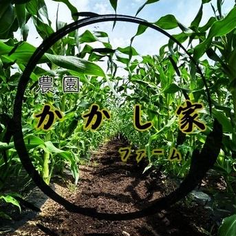 【朝採れ直送！数量限定！】かかしやファームの恵味ゴールド（10本入り） かかしやファーム産恵味ゴールド10本約4キロ 野菜/とうもろこし通販