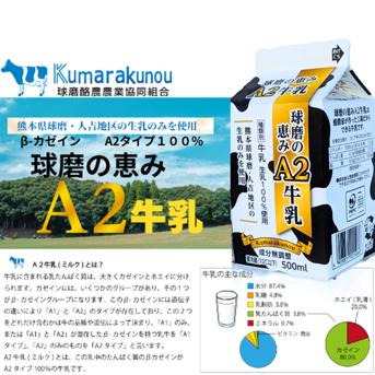 球磨の恵みA2牛乳 500mlx6パック | 乳製品/牛乳 産直アウル 農家
