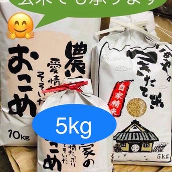 冷蔵便❕令和3年産ひとめぼれ5ｋｇ+おまかせ野菜セット クール❕うるち精米5ｋｇ+野菜数種類 野菜/野菜セット・詰め合わせ通販