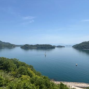 採りたて新鮮！ 【放し飼い卵20個】瀬戸内海の島‟薬膳と果実を配合”したえさで育ったもみじのたまご　20個【18個+割れ保障2個】 鶏卵２０個（１０個×2パック） 卵/鶏卵通販