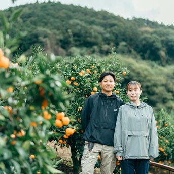 2月発送 愛媛県産「甘平」4キロ ご家庭用 | 果物/オレンジ・その他