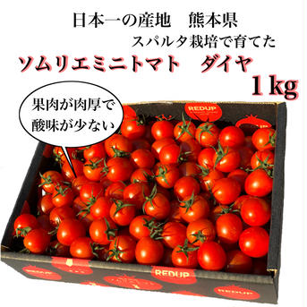 【父の日】①食べ出したら止まらない！ソムリエミニトマト　ダイヤ1kg（60玉から90玉） 1kg 野菜/トマト通販