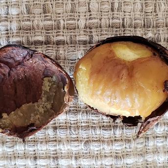 栗ポロタンの販売再開いたします。栗「ポロタン」購入者はこちらへお願いいたします。 栗ポロタンの販売再開いたします。栗「ポロタン」購入者はこちらへ