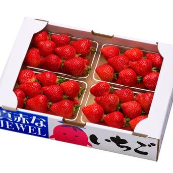 池上農園あまおうクィーン2箱 2160g 果物/いちご通販