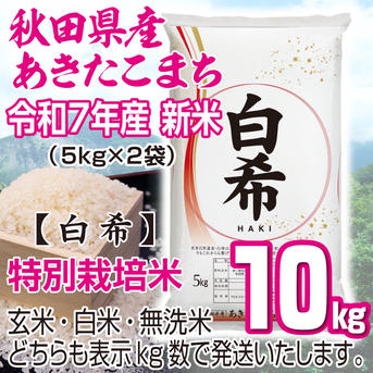 秋田県産あきたこまち【 白希 】~ HAKI ~ 10kg ｜ 米・穀物/米