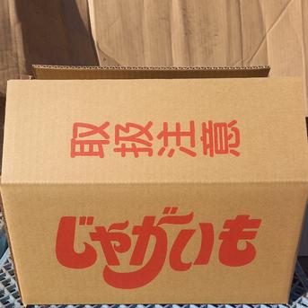 土付き　メークイン8kg(M～Lサイズ) メークイン約8kg 野菜/じゃがいも通販