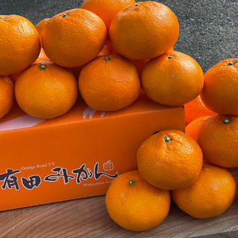 送料無料❗️ 有田みかん🍊和歌山県有田産　3Lサイズ　※北海道沖縄は配達不可 5kg 果物/温州みかん通販