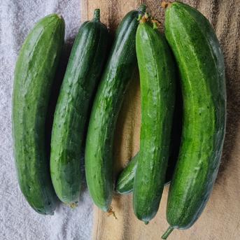 旬のお野菜セット（5～7品）クール便 旬のお野菜セット5~7品セット 野菜/野菜セット・詰め合わせ通販
