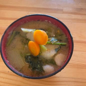 はぴぱらのやわらかいかき菜【無農薬・無肥料】(3kg) かき菜3kg(約18袋) 野菜/葉物通販