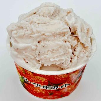 【冷凍いちご約2kg分おまけ特別キャンペーン！】【いちごアイス12個入＆冷凍いちご約2kg】【冷凍いちごの在庫がなくなり次第終了！】【旬祭限定】 アイス12個、冷凍いちご約2kg 加工品/アイス通販