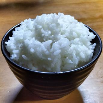 精米12kg 秋田のあきたこまち【令和7年産】 ｜ 米・穀物/米/精米 産直