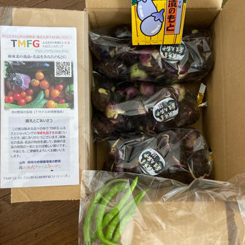 お盆にはこれ！伝統野菜　薄皮丸茄子　漬物用　1.0kg 薄皮茄子　3パック　500g✖️3 野菜/茄子通販