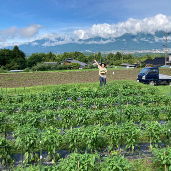 特選✨さっちゃんと英子さんのグリグリセット(80サイズ)クール便 野菜/野菜セット・詰め合わせ通販