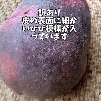 湯どうふ！長崎県産デストロイヤーじゃがいも、俵マゼラン各10㎏　計20㎏ 常温便】食べ比べ デストロイヤー＆タワラマゼラン 計3kg(16-36個程度