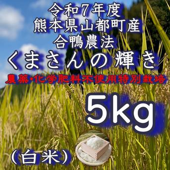 令和7年度産 農薬・肥料不使用 熊本県産 くまさんの輝き 20kg 令和7