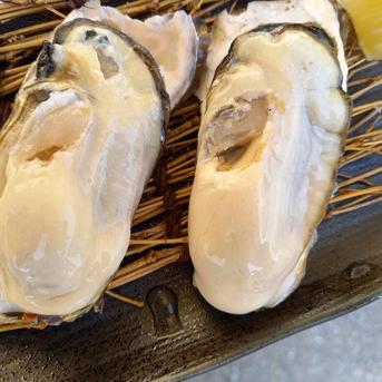 期間終了間近！特別感謝価格！殼付き牡蠣加熱用3キロ 3キロ 魚介類/牡蠣通販