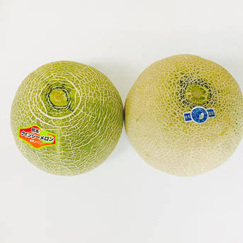 【家庭用訳あり品】くまもと赤肉メロン1玉＆青肉メロン1玉　合計2玉　箱込み1.8㎏ 2玉(箱込み1.8㎏以上) 果物/メロン通販