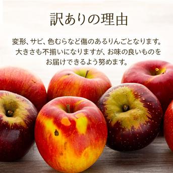 りんご【おぜの紅】訳あり約5kg 2026年度予約受付中 香り豊かな初秋の