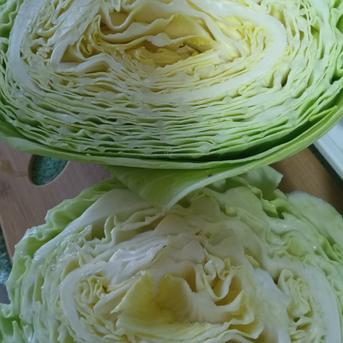 訳アリ白むきキャベツ＆ハクサイ♥本日限定1ケース♥ 箱込み１５キロ以内 野菜/野菜セット・詰め合わせ通販