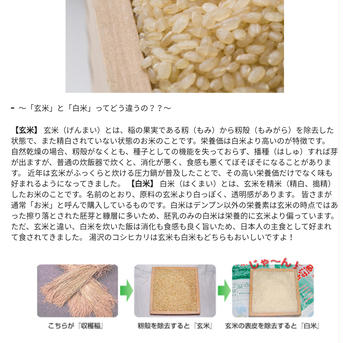 令和4年度 南魚沼最上流域湯沢産 コシヒカリ10キロ(５キロ×2) 白米10キロ 米・穀物/米/精米通販