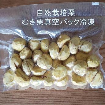 むき栗　およそ3Kg　＜冷凍発送＞　農薬不使用 お手軽調理！主婦の味方！冷凍むき栗 400g: きくちのまんまJAタウン